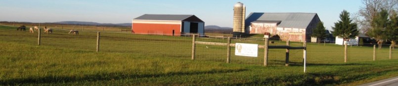 farm in springtime