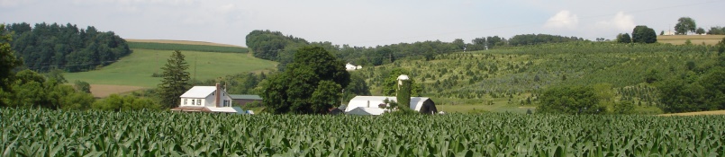 farmers field with crop